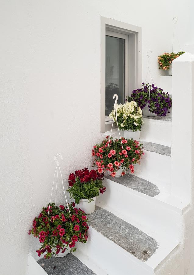 Aniko Suites Chora Mykonos Town Ngoại thất bức ảnh